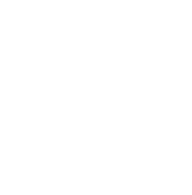 Syneris logo